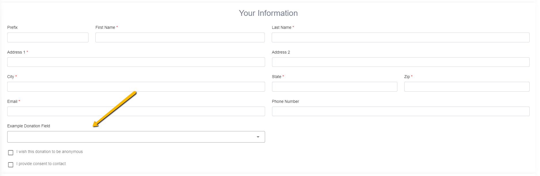 your information section with an example custom field beneath it