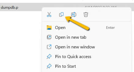 copy icon