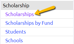 scholarships report