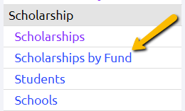 scholarships by fund report