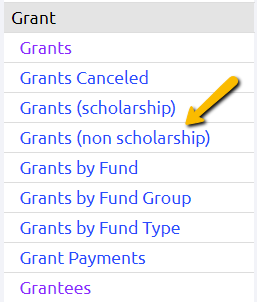 grants (non scholarship) report