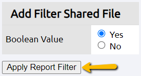 apply report filter button