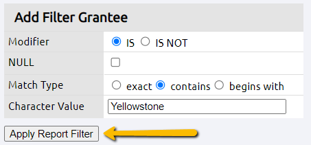 apply report filter