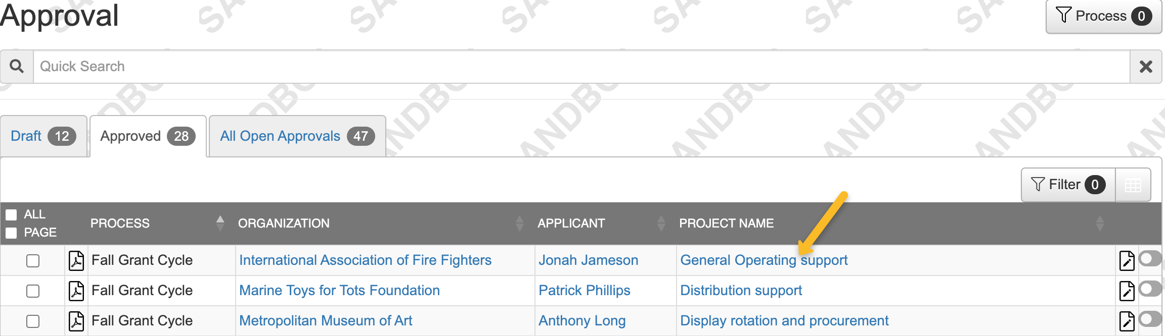 project name