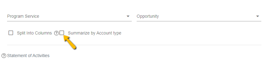 summarize by account type checkbox