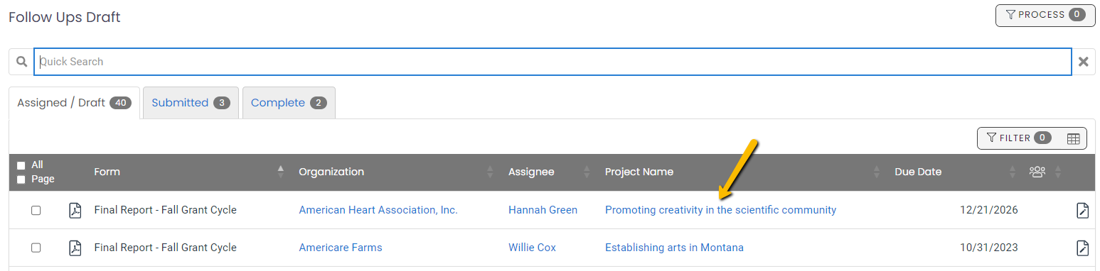 project name