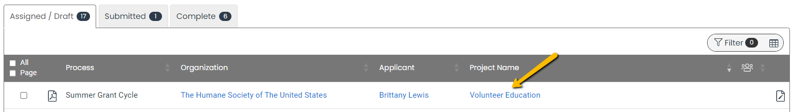 project name
