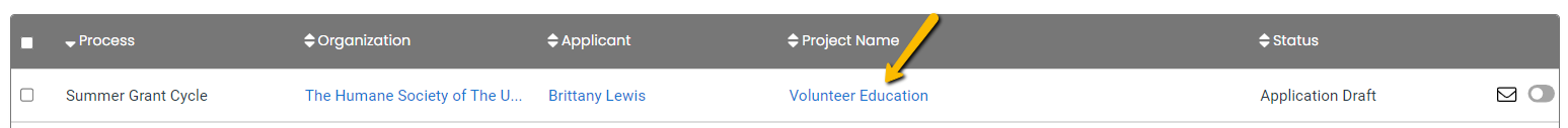 project name