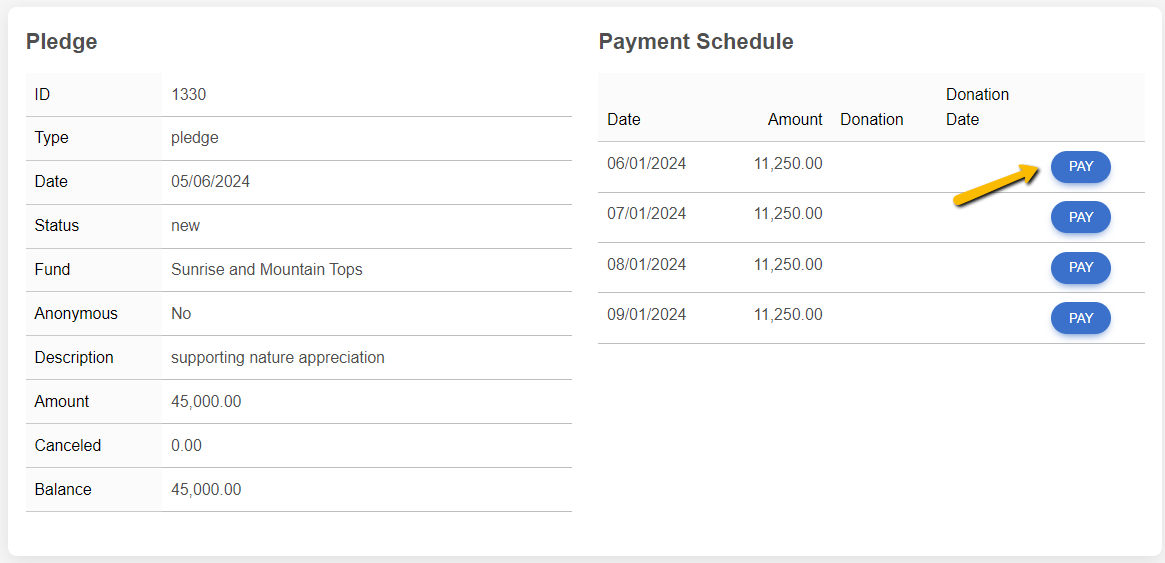 pay button