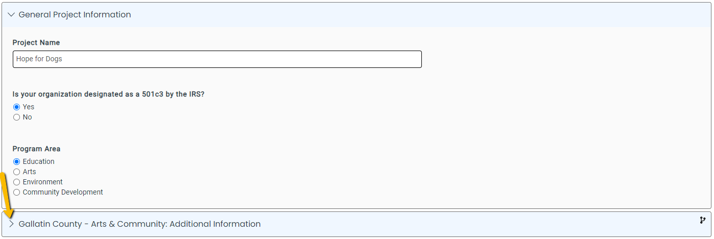 question branching answers