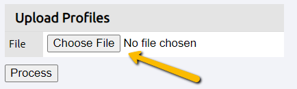 choose file button
