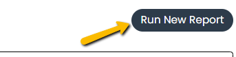 run new report button