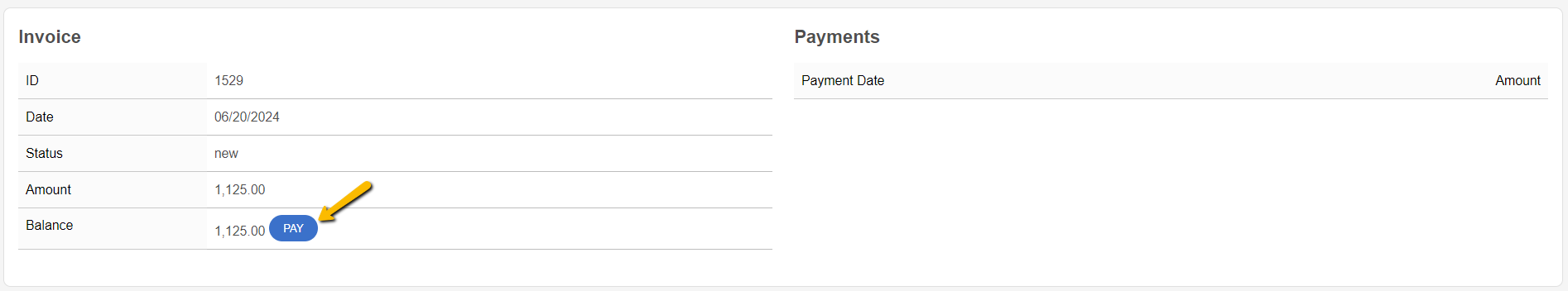 pay button