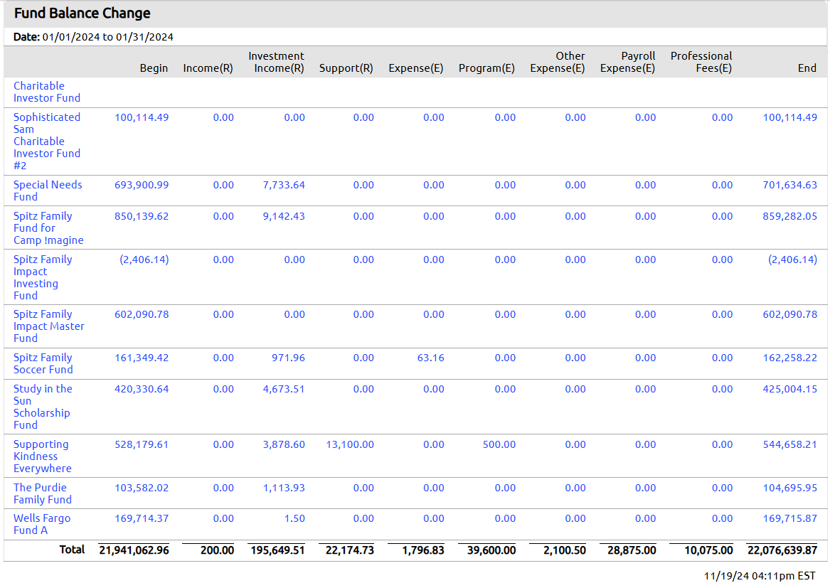 audit report