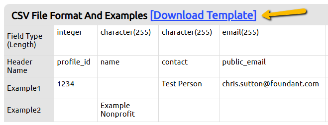 download template button