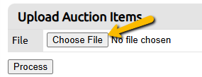 choose file button