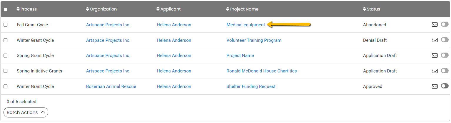 project name