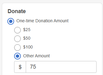 other amount field
