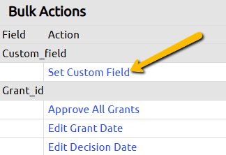 set custom field button