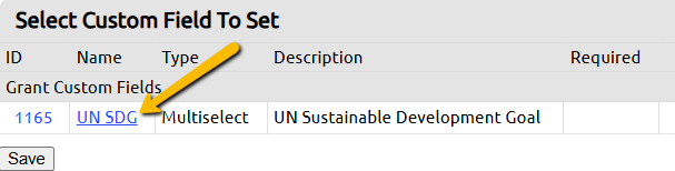 custom field name