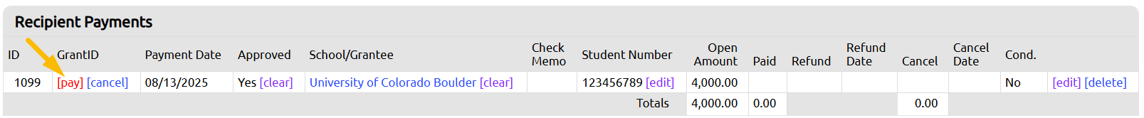 pay button