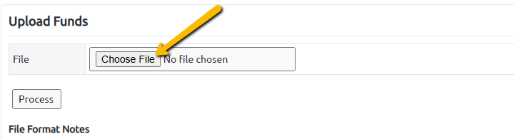 choose file button