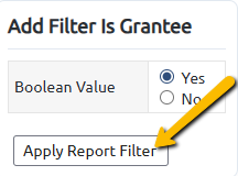 apply report filter button