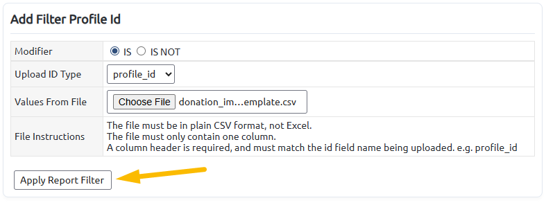 apply report filter