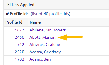 profile custom report