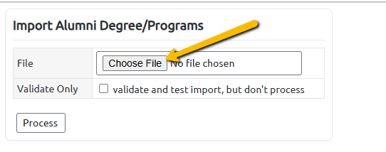 choose file button