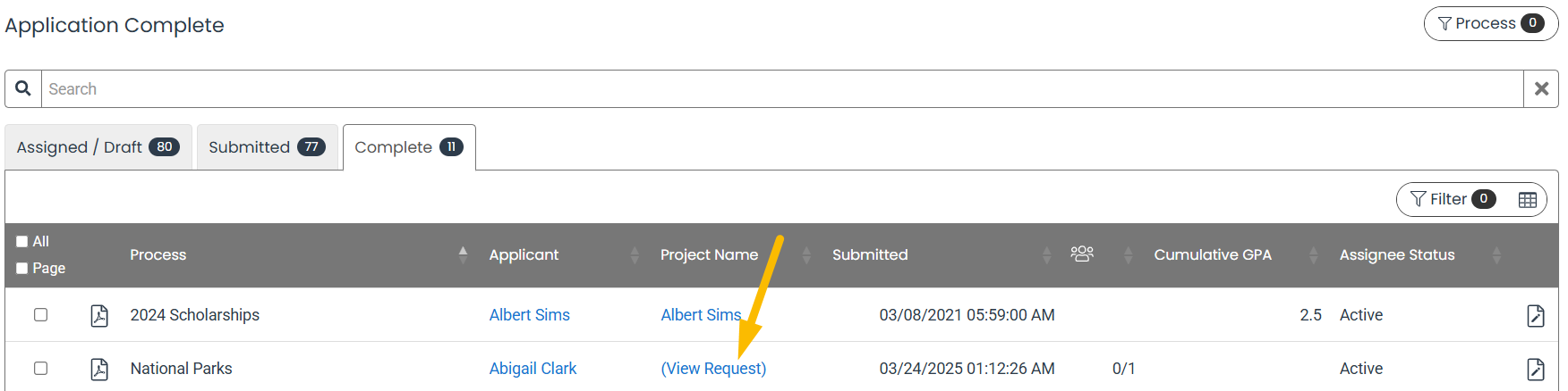 project name
