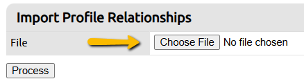choose file button