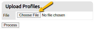 choose file button