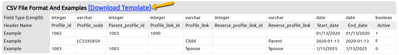 download template button