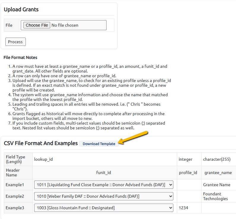 download template button