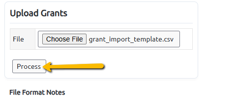 process button