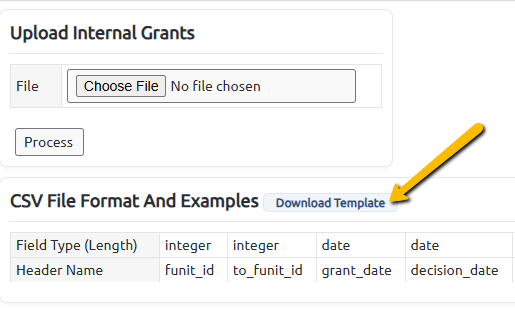 download template button