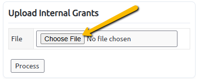 choose file button