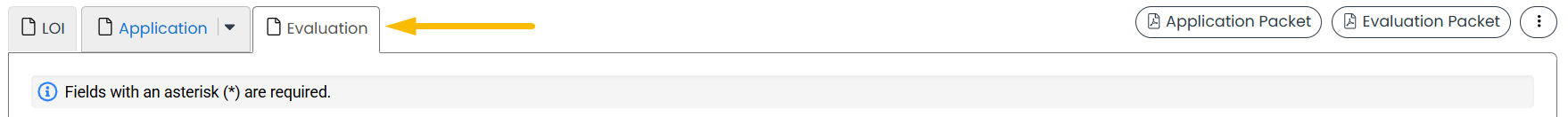 Evaluation tab