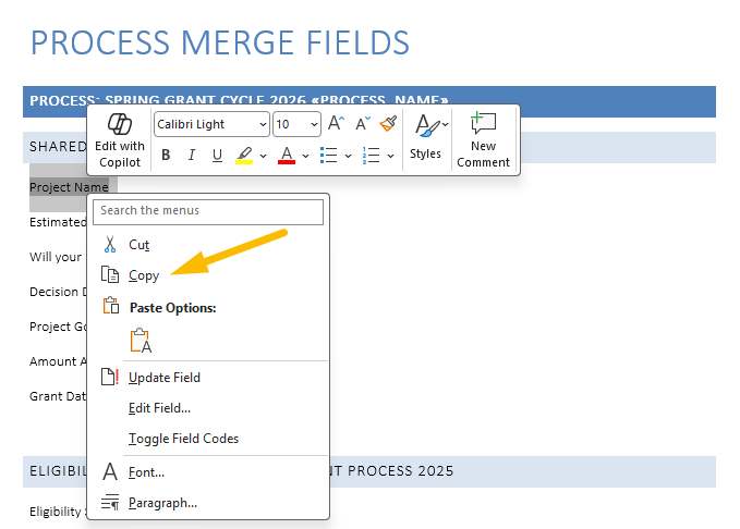 copy option
