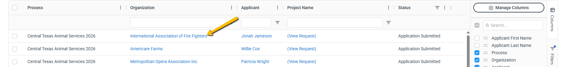 organization name