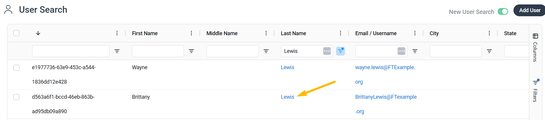 user's last name
