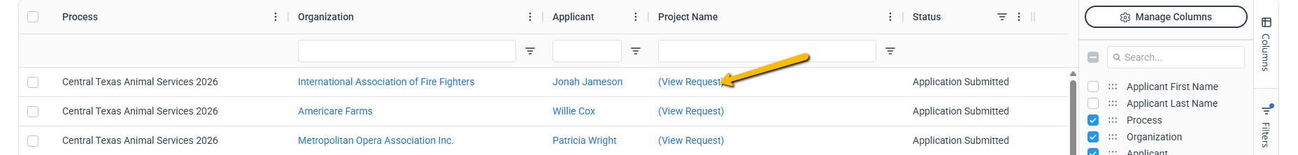 project name
