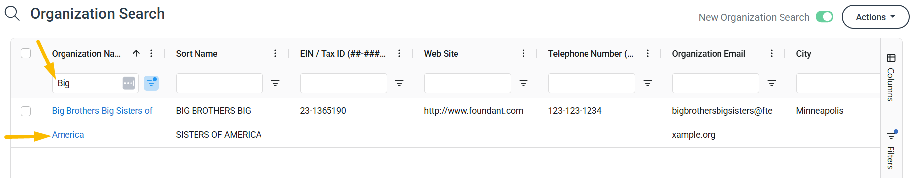organization name
