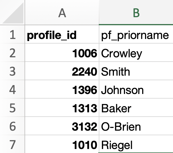 example template for custom field import