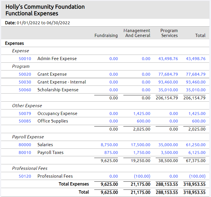 Statement Of Functional Expenses Template