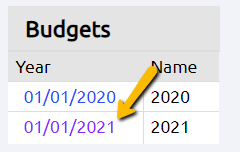 Budget year.
